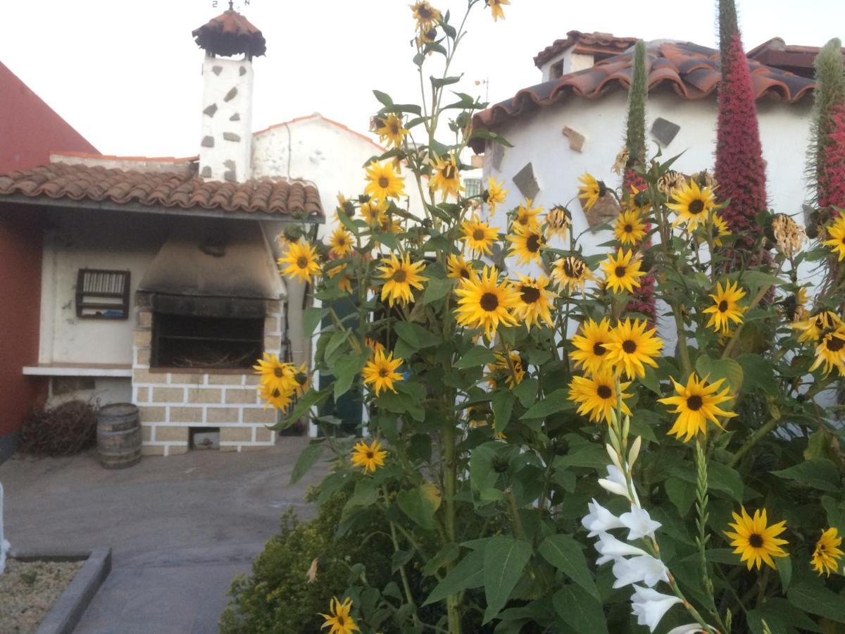 Casa Rural Finca Paraiso. Heated Pool Vilaflor Dış mekan fotoğraf